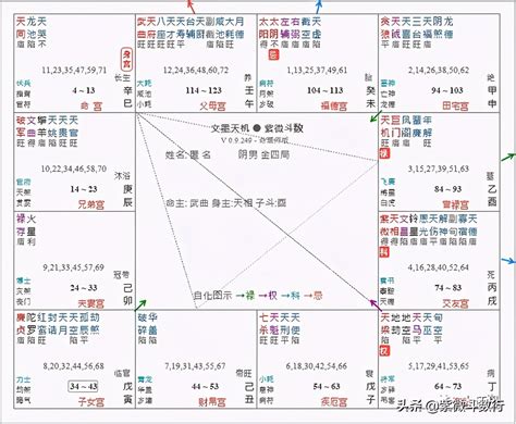 紫微斗數 天同